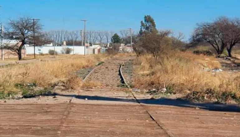 Limpiaron y mejoraron la traza de varios sectores de las vías del tren