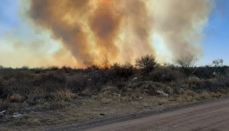 Bomberos lograron controlar el incendio de La Punta