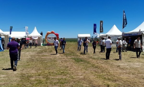 Alfalfa arouses great interest in San Luis producers