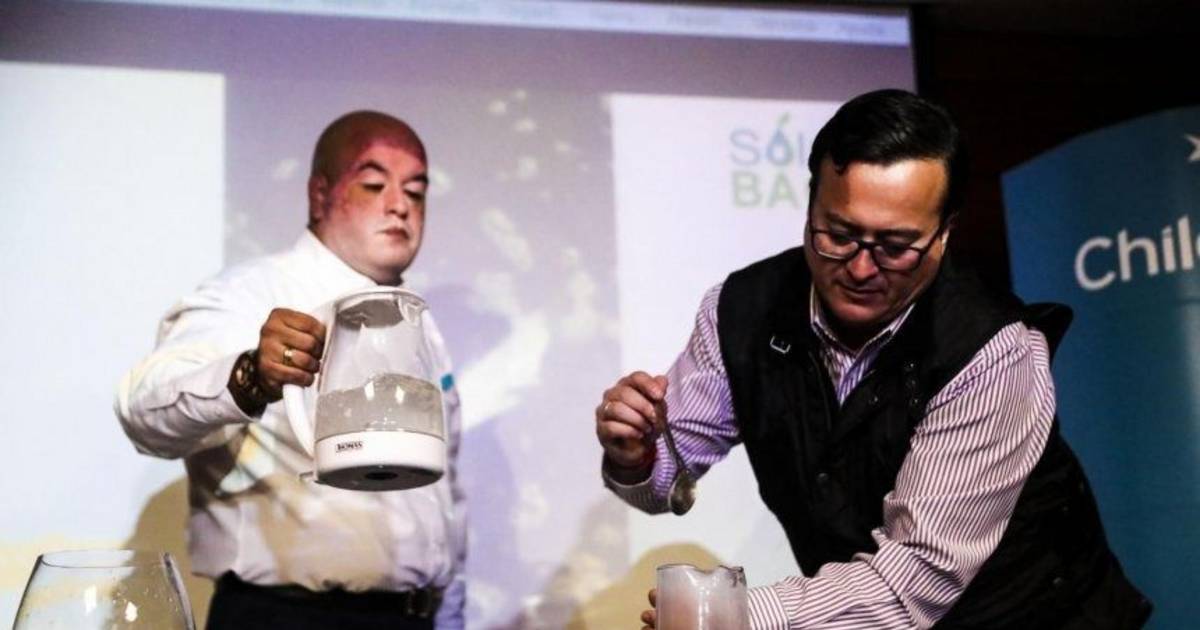 Crearon una bolsa de supermercado que se disuelve en agua en sólo tres minutos El Diario de la