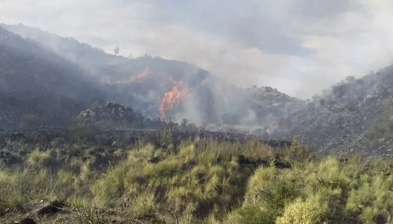 El incendio en la Cuesta del Gato está contenido